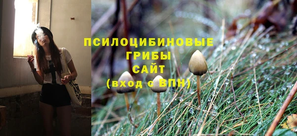 ГАЛЛЮЦИНОГЕННЫЕ ГРИБЫ Абаза