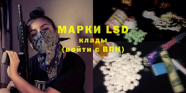 ГАЛЛЮЦИНОГЕННЫЕ ГРИБЫ Абаза
