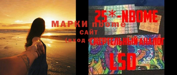 ГАЛЛЮЦИНОГЕННЫЕ ГРИБЫ Абаза