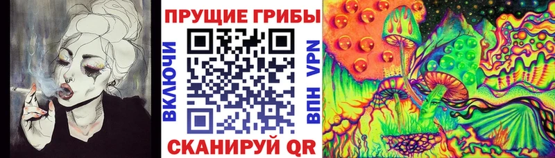 Галлюциногенные грибы Psilocybe  Щучье 